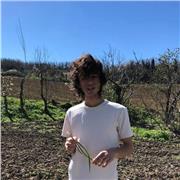 Laureando in neuroscienze cognitive disponibile per lezioni e ripetizioni